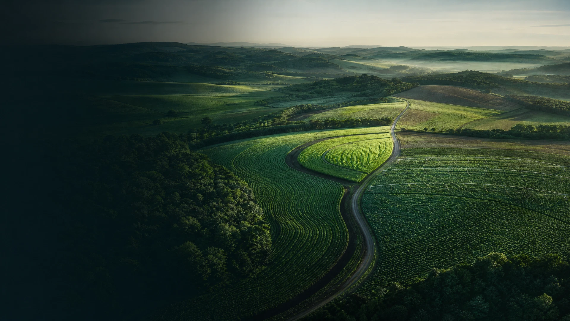 Vista aérea de campos agrícolas que representam a gestão conectada da Vetian